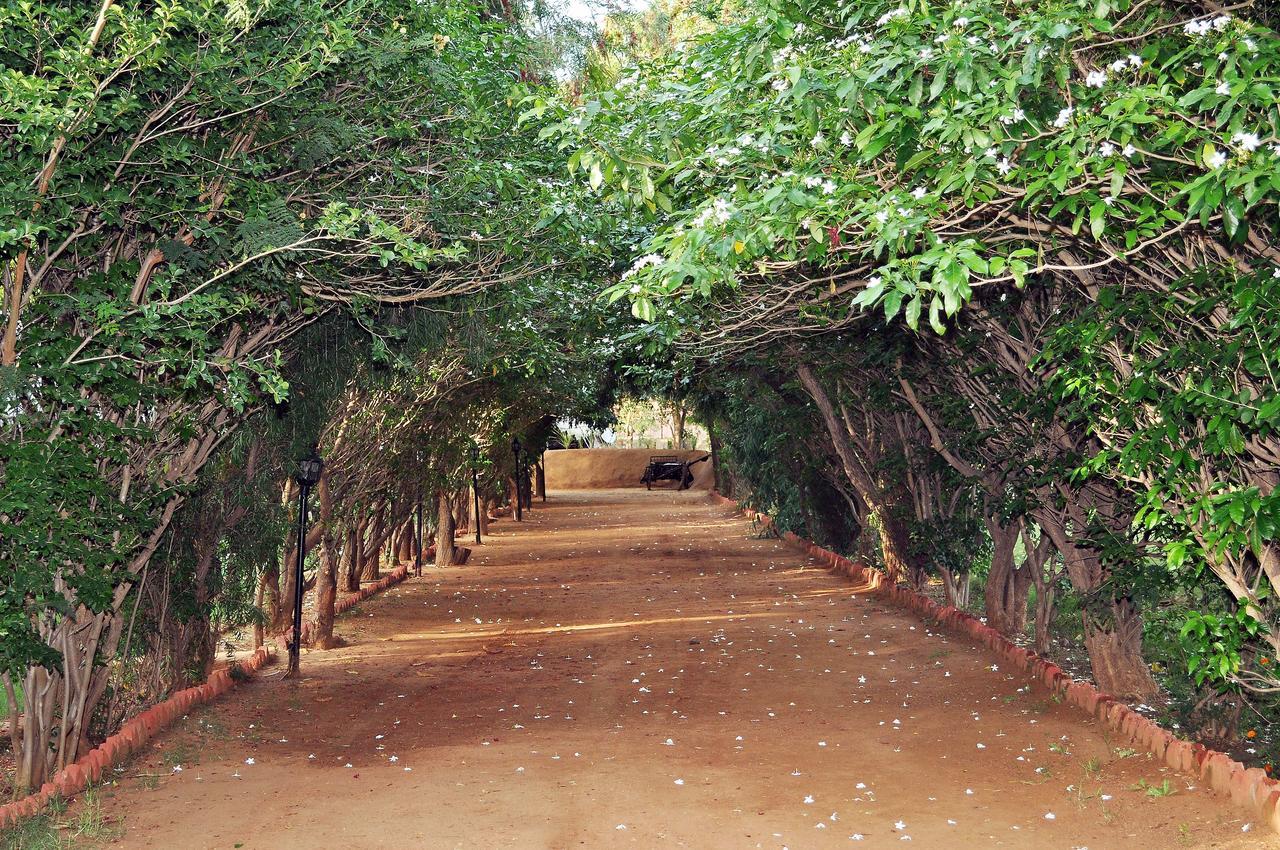 Tiger Machan Resort Ranthambore Екстер'єр фото